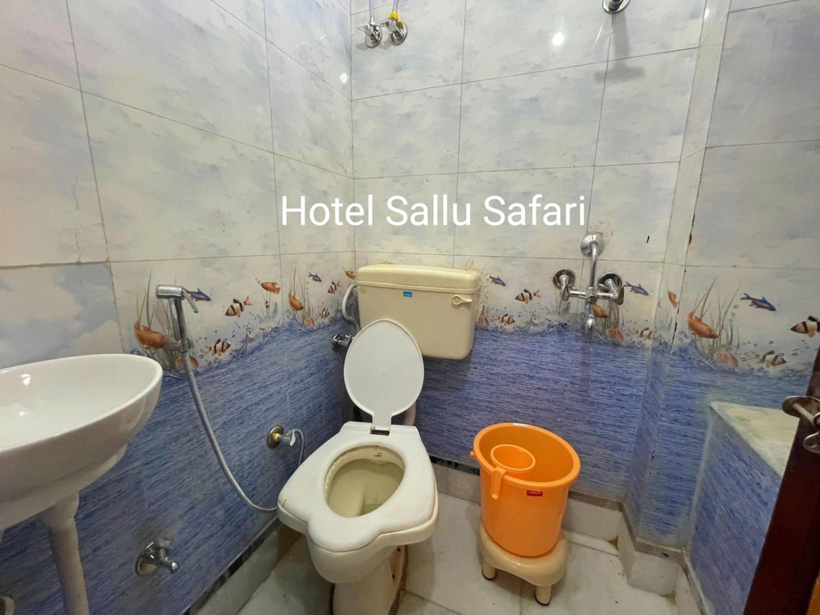 Hotel Sallu Safari Джайсалмер Екстер'єр фото